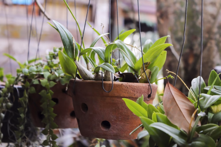 Groene kamerplanten in een tuincentrum